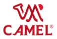 CÔNG TY CỔ PHẦN THƯƠNG MẠI CAMEL VIỆT NAM